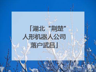 湖北“荆楚”人形机器人公司落户武昌